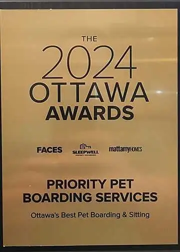 Private Pet Boarding Services Special only $28 - Photo 2