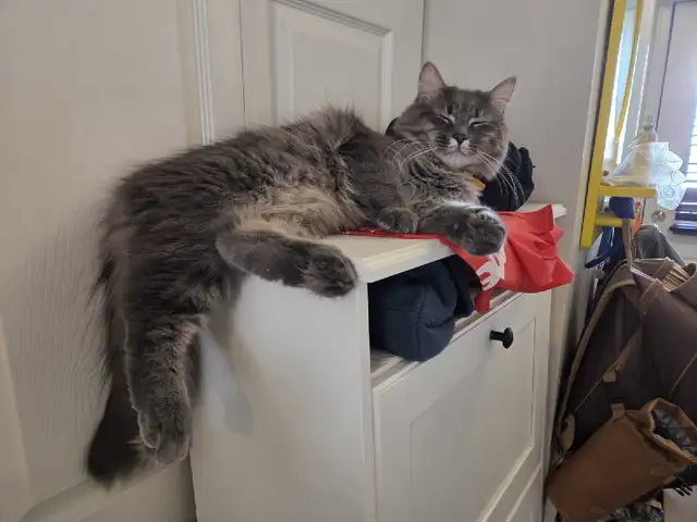 Private pet boarding services only $28 per day!