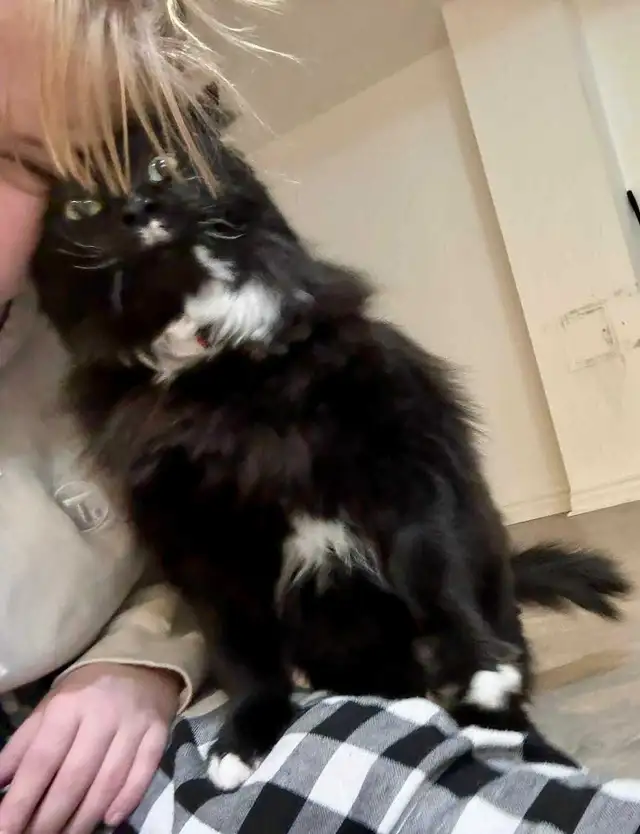 Private pet boarding services only $28 per day! - Photo 4