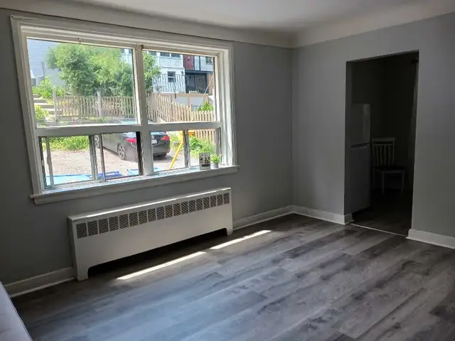 LARGE BRIGHT BACHELOR APRIL 1st. - Photo 4