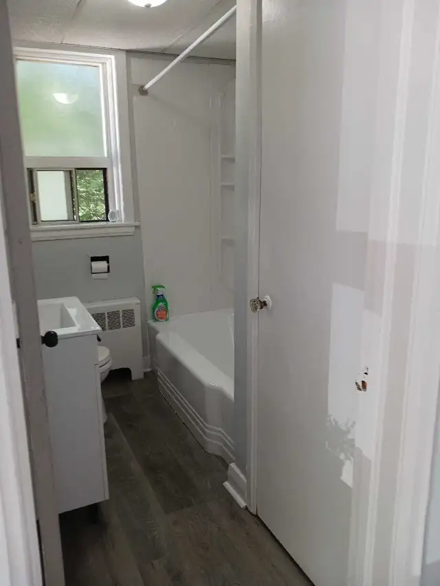 LARGE BRIGHT BACHELOR APRIL 1st. - Photo 5