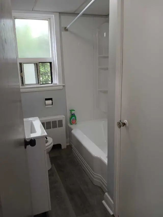 LARGE BRIGHT BACHELOR APRIL 1st. - Photo 10