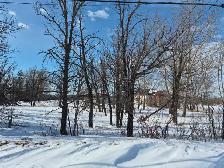 5 ACRE PROPERTY IN WINNIPEG