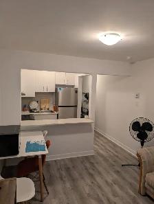 Immediately available beautiful studio in NDG