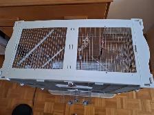 Cage a oiseau Vision 60 $