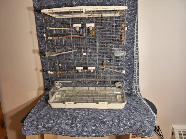 Cage a oiseau Vision 60 $ - Photo 2