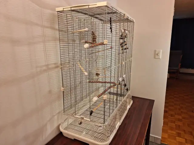 Cage a oiseau Vision 60 $ - Photo 3
