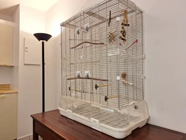 Cage a oiseau Vision 60 $ - Photo 4