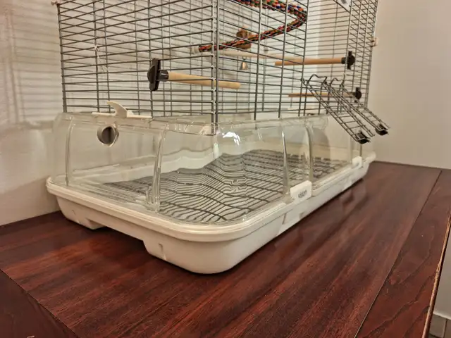 Cage a oiseau Vision 60 $ - Photo 6