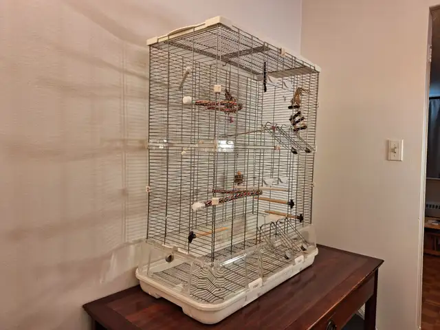 Cage a oiseau Vision 60 $ - Photo 7