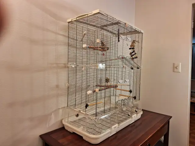 Cage a oiseau Vision 60 $ - Photo 8