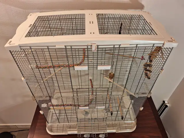 Cage a oiseau Vision 60 $ - Photo 9
