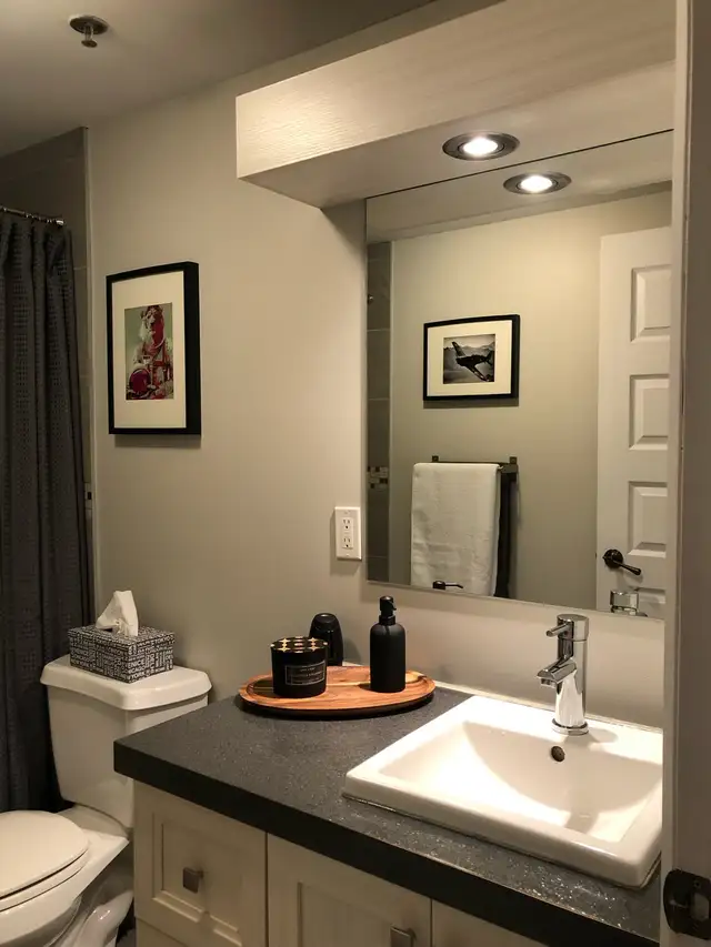 Renovated condo 3 1/2 BLVD SAINT LAURENT - Photo 8