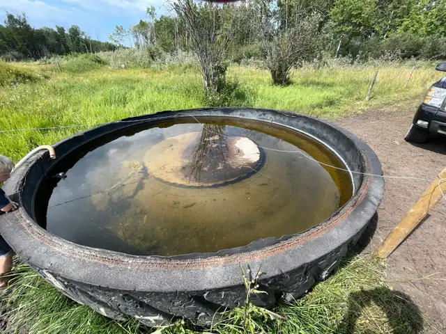 Delicious protein - Photo 2