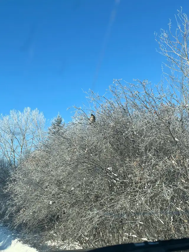 Delicious protein - Photo 3