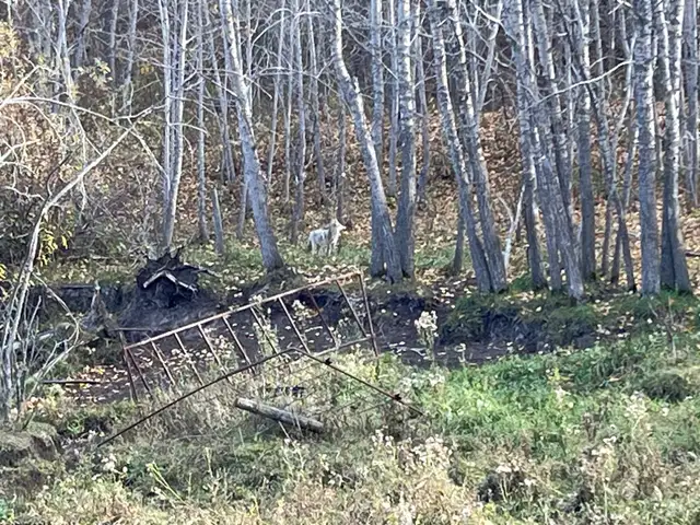 Delicious protein - Photo 4