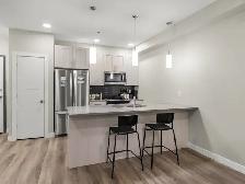 Bright 1bdrm Condo on Main Floor w/ In-Suite Laundry! - Photo 5