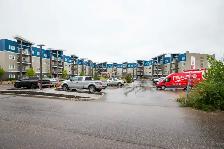 Bright 1bdrm Condo on Main Floor w/ In-Suite Laundry! - Photo 10