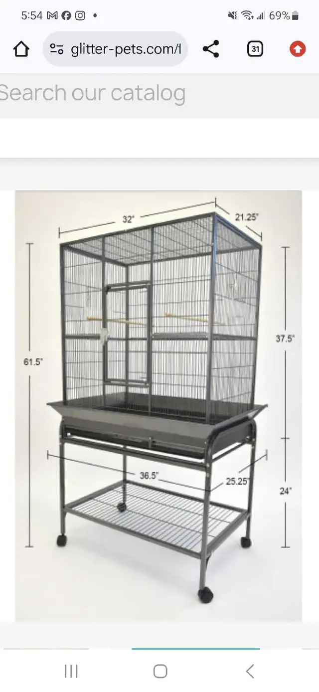 Baby Cinnamon Green Cheek Conures - Photo 7