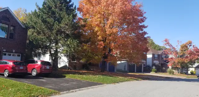 House for Rent, Kanata, Ottawa, Maison à louer, Rent Home, Avail - Photo 12