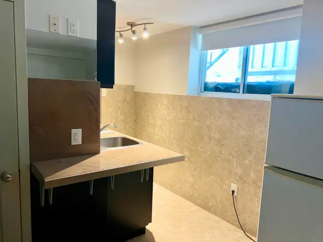 Bachelor in Port Credit