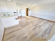 Renovated 1 BR (North Chatham) — Parking Included— $1,350 Hydro - Photo 2