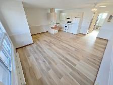 Renovated 1 BR (North Chatham) — Parking Included— $1,350 Hydro - Photo 3