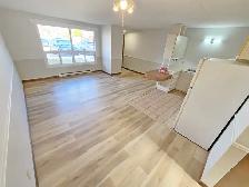 Renovated 1 BR (North Chatham) — Parking Included— $1,350 Hydro - Photo 4