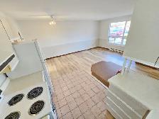 Renovated 1 BR (North Chatham) — Parking Included— $1,350 Hydro - Photo 5