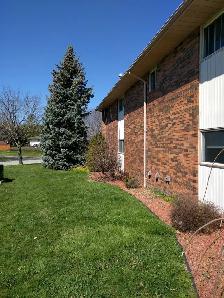 Renovated 1 BR (North Chatham) — Parking Included— $1,350 Hydro - Photo 10