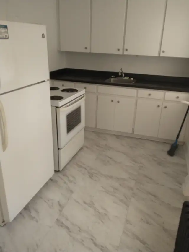 Large 1 bedroom apt. Jackson Park. Incl. Heat/Water. $1200 - Photo 4