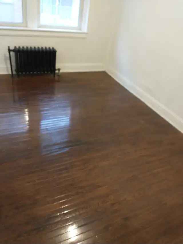 Large 1 bedroom apt. Jackson Park. Incl. Heat/Water. $1200 - Photo 6