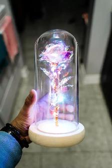 Galaxy Rose / Rose Bear — Valentine's Special Gift