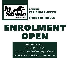 Dog Training - Group Classes