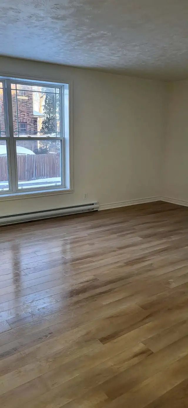 MAIN FLOOR BACHELOR APT with immediate occupancy - Photo 4