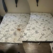 Carpet, sofa , tiles and mattresses - Photo 7