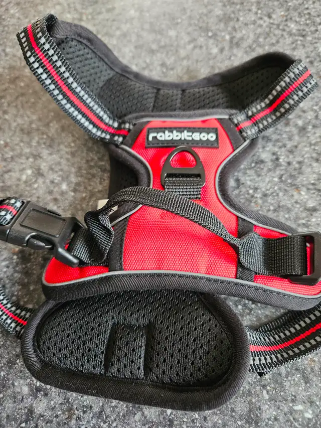 New Small Dog Harness - Photo 2