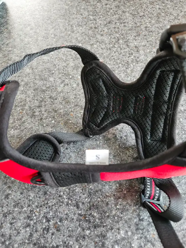 New Small Dog Harness - Photo 5