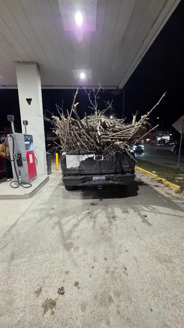 garbage removal