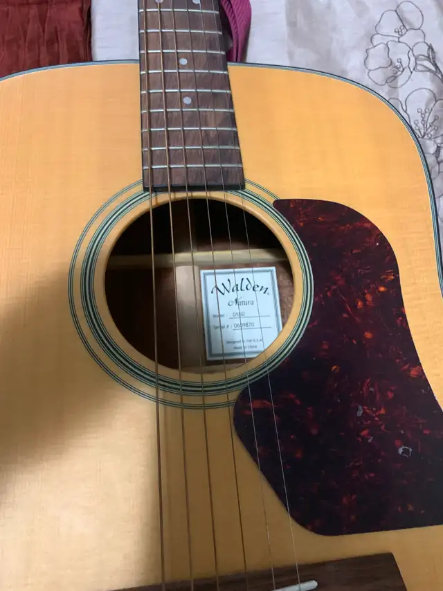 Guitar acoustic c/w premium padded case $175 OBO - Photo 2