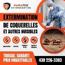 Exterminateur coquerelles résidentiel et commercial