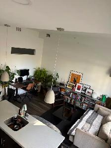 Modem 1 Bedroom Apartment in Osborne Village - Deposits Covered