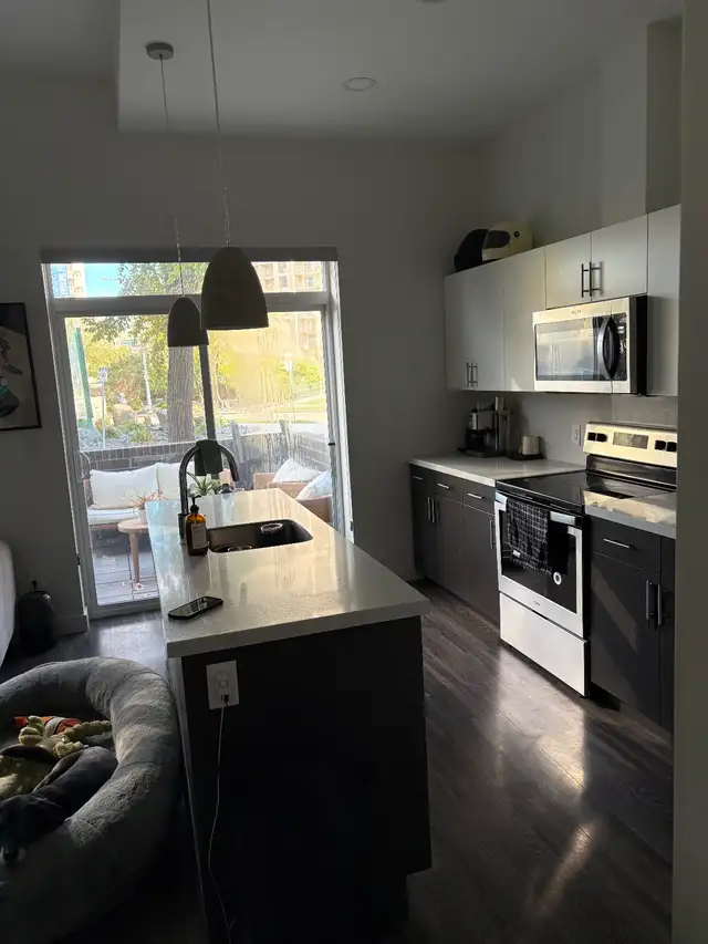 Modem 1 Bedroom Apartment in Osborne Village - Deposits Covered - Photo 3