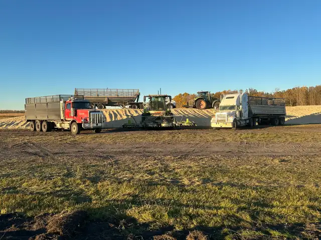 Silage chopping