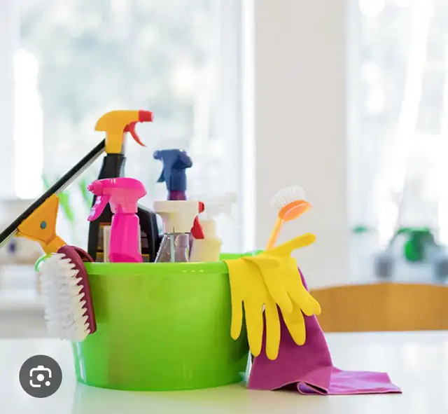 Independent cleaning lady