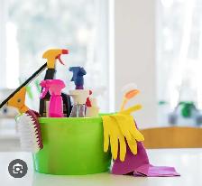 Independent cleaning lady