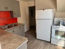 Newly renovated bachelor apartment