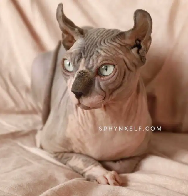 Lucy Need to give her big heart ❤️