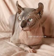 Lucy Need to give her big heart ❤️