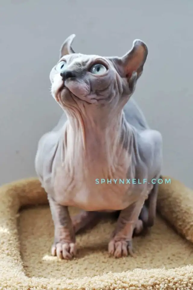 Lucy Need to give her big heart ❤️ - Photo 3